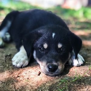 Meet your Posher, Seth